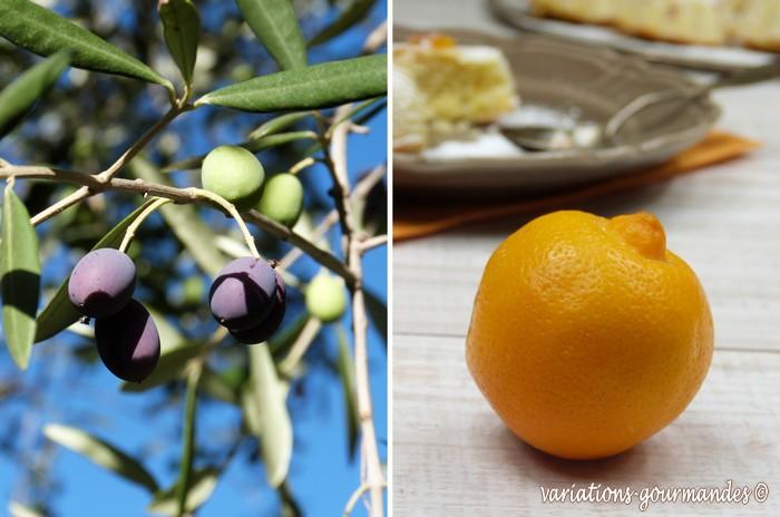 Moelleux à l'huile d'olive, amandes et citron 