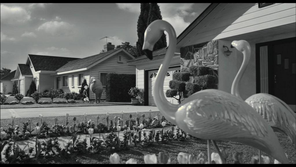 Frankenweenie Frankenweenie-tulipes holandaises et flamands