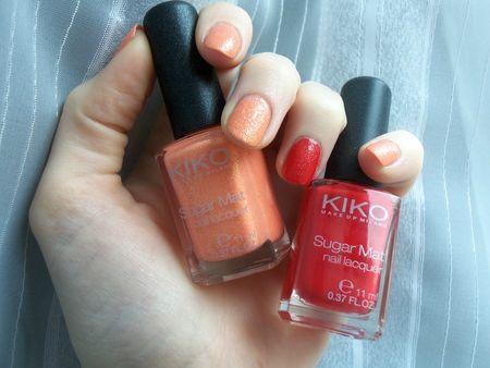 Tel un mouton, je suis le mouvement 100_2204