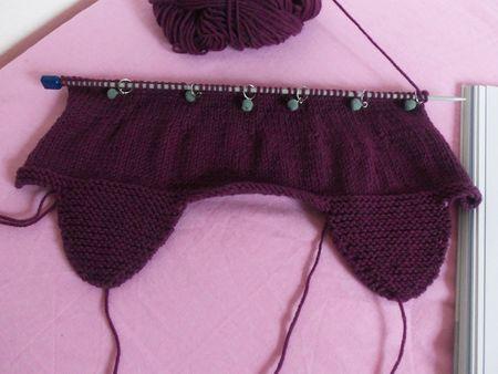 Un cadeau pour une petite princesse 100_1817