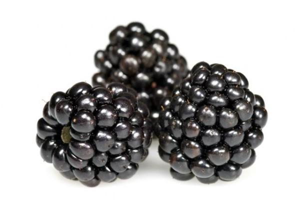 BlackBerry : de nouveaux smartphones avant la fin de l’année Group of blackberries isolated on white background.
