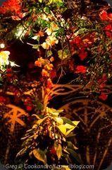 Cointreau-41 Cointreau-41