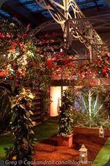 Cointreau-12 Cointreau-12