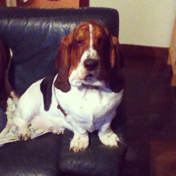 Le Samedi c'est Instagram Party! Le Samedi c'est Instagram Party!