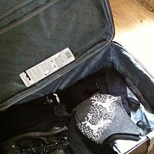 TERRINE DE SANGLIER VALISE.jpg