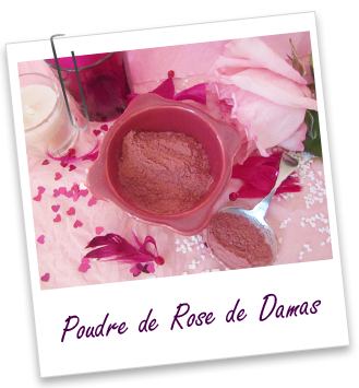 Crème toute simple à la rose FT_trombone_Extrait-plante_poudre-rose