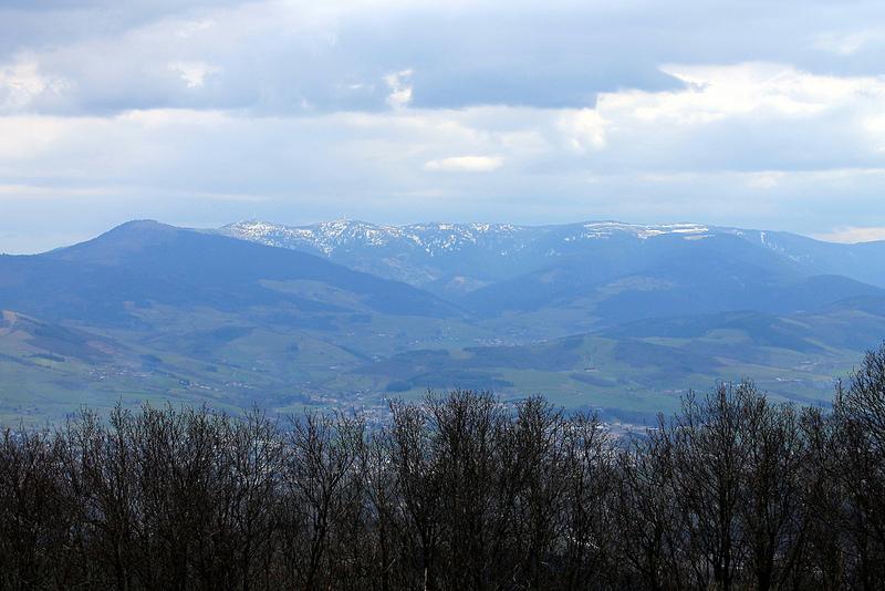 Primo vere Primo vere