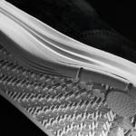 Nike Koston 2 Images Officielles nike-koston-2-images-officielles-9