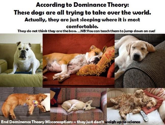 Concevoir la relation homme/ chien…deux approches Image