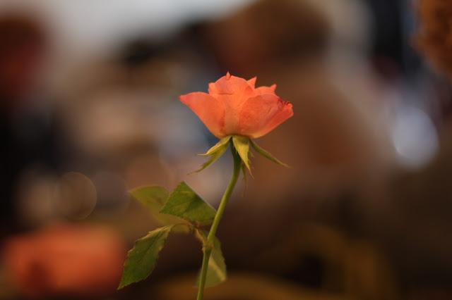 city guide #1: tea time city guide #1: tea time