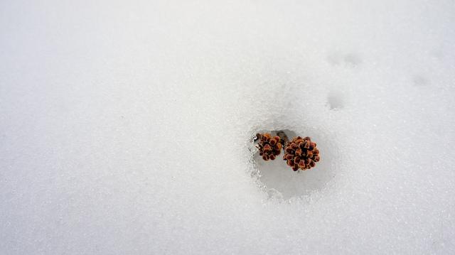 MINIMAL MANIAC #8 anteketborka.blogspot.com, neige8