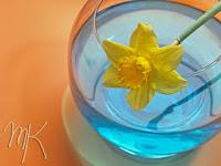 MINIMAL MANIAC #8 MINIMAL MANIAC #8