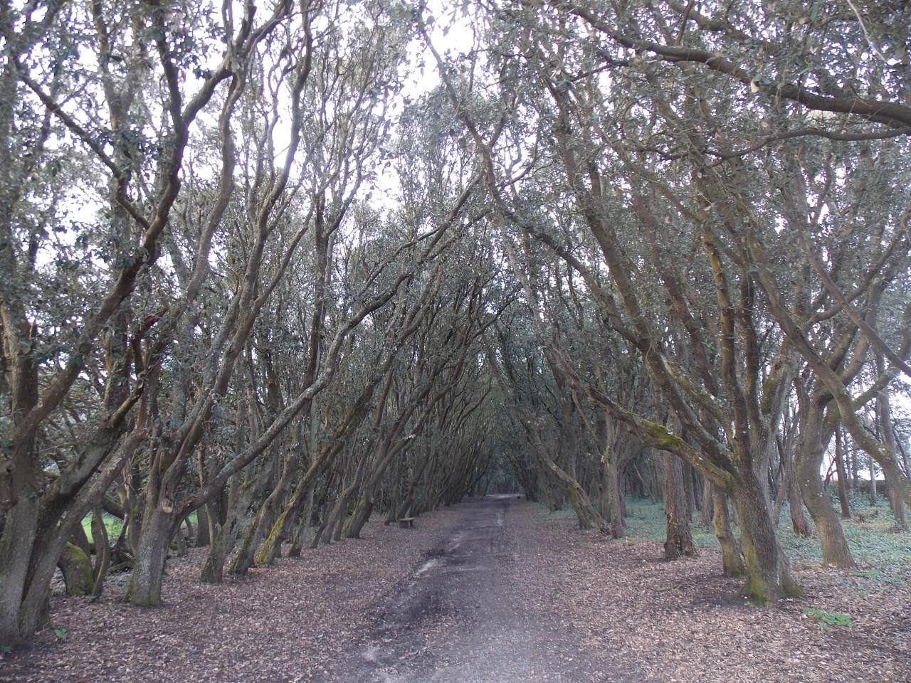 est-ainsi que les hommes vivent? est-ainsi que les hommes vivent?