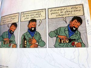 Hergé, mémoire d'une exposition Tintin 015