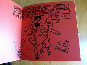Hergé, mémoire d'une exposition Tintin 011