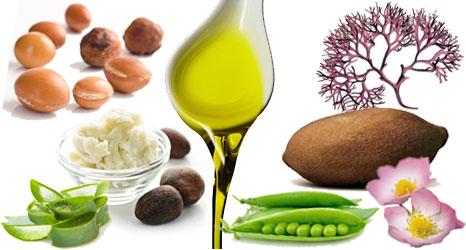 Soins visage bio anti-âge actifs naturels bio