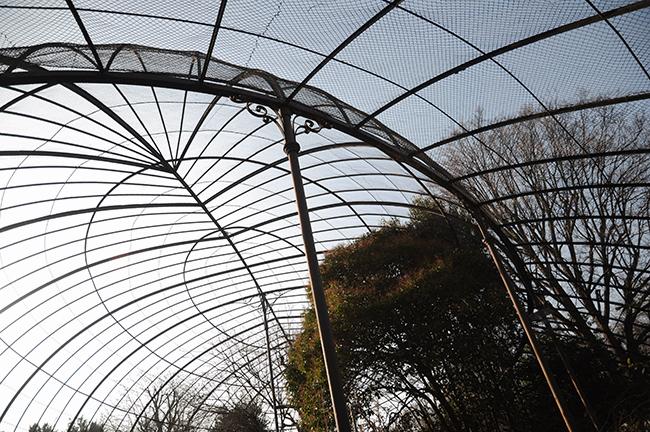 Animals in the city voliere