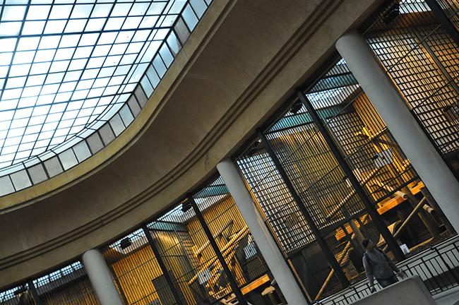 Animals in the city fauverie