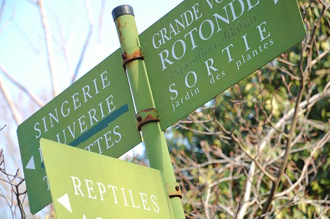 Animals in the city panneaux