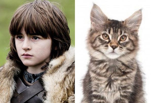 Cats-As-Game-Of-Thrones-Characters10