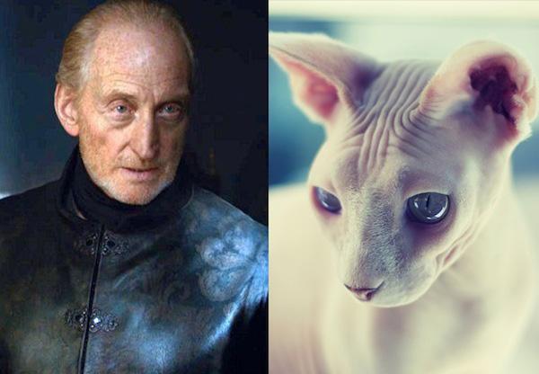 Cats-As-Game-Of-Thrones-Characters6