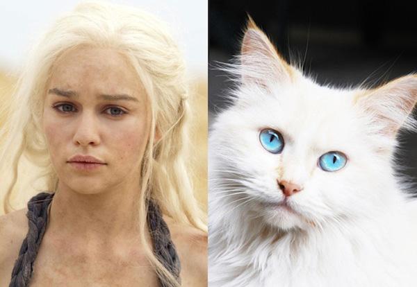 Cats-As-Game-Of-Thrones-Characters002
