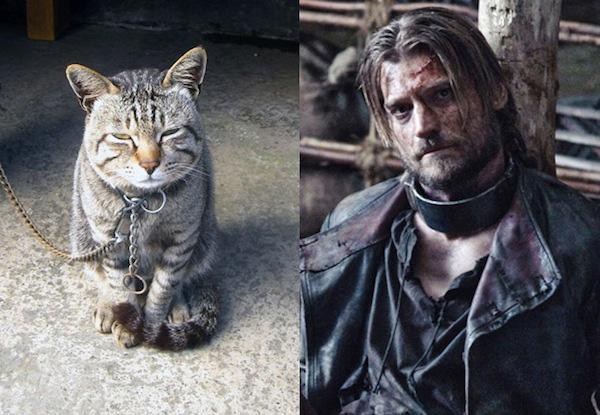 Cats-As-Game-Of-Thrones-Characters4