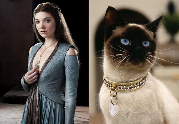Cats-As-Game-Of-Thrones-Characters0