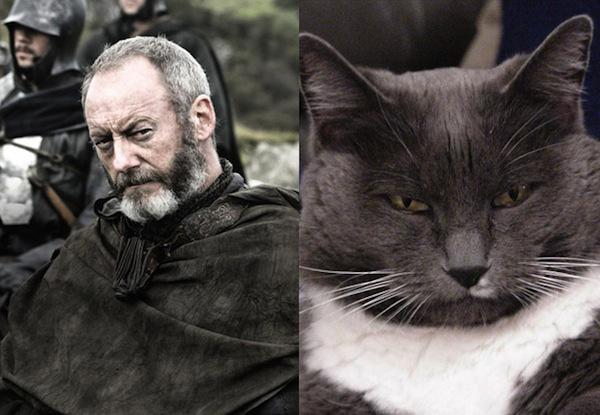 Cats-As-Game-Of-Thrones-Characters