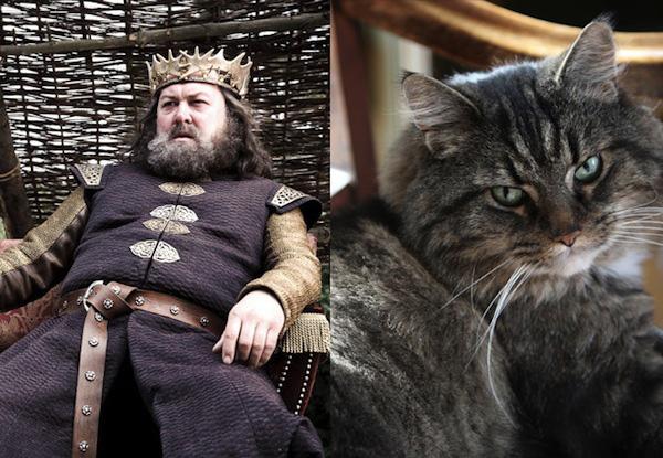 Cats-As-Game-Of-Thrones-Characters3