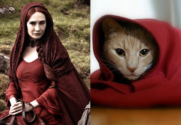 Cats-As-Game-Of-Thrones-Characters010