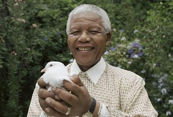 Nelson Mandela élu citoyen d'honneur de la Ville de Paris