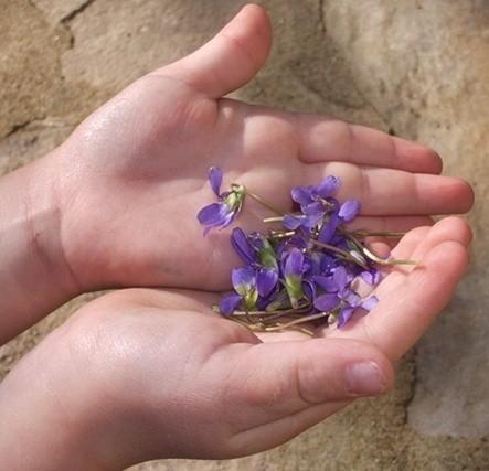 #fmsphotoaday March 27 : Pair FMS-PHOTO-A-DAY-27-PAIR-2-copie-1.JPG