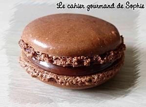 Macarons chocolat au lait cannelle macaron-chococannelle-270313.jpg