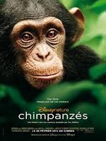 Film documentaire : « Chimpanzés» de Mark Linfield & Alistair Fothergill (sorti le 20/02/2013)