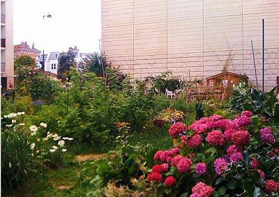 Rediff : Paris : Le Jardin Fessart, oasis communautaire aux Buttes Chaumont - 45 rue Clavel - Paris 19ème