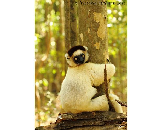 Webinaire la beauté de la nature à travers mon objectif avec Victoria Hillman Victoria Hillman