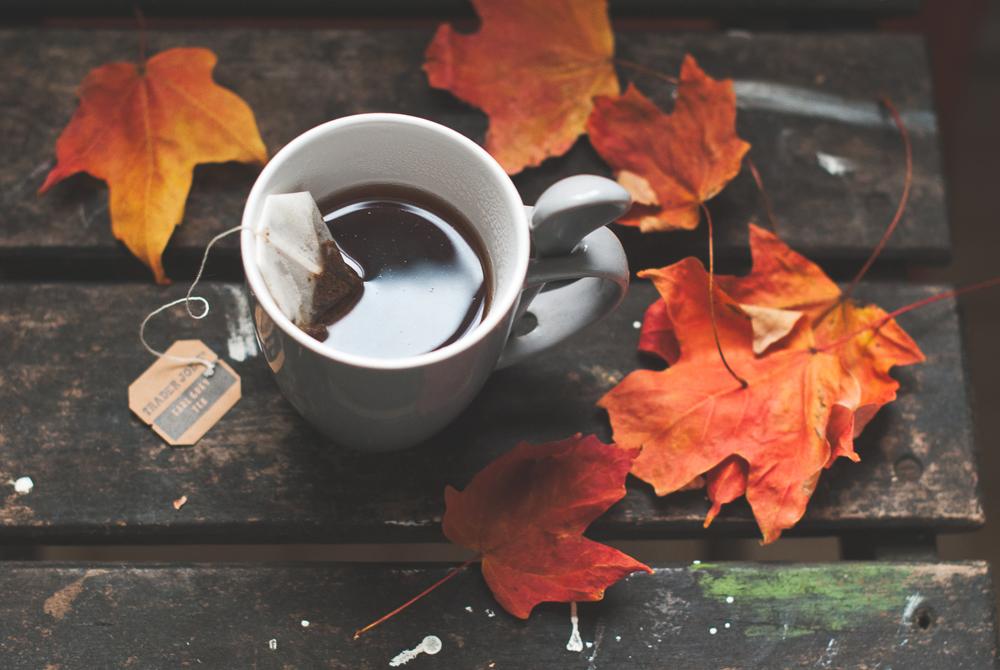 Découverte photo : Bumbles & Light Découverte photo : Bumbles & Light