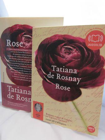 Qu'était devenue ma cité médiévale, son charme pittoresque, ses allées sombres et tortueuses ? IMG_8737