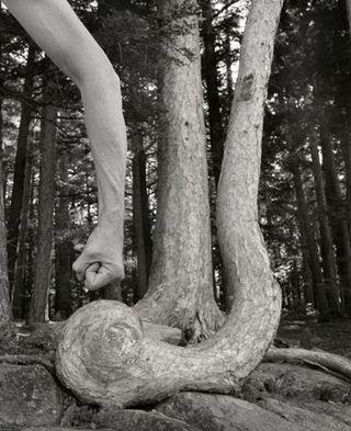 LE POEME DU MONDE OU LA PENSEE-PAYSAGE(7). LE POEME DU MONDE OU LA PENSEE-PAYSAGE(7).