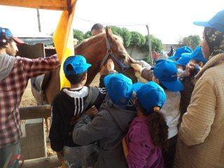 Sortie des orphelins à Crazy Parc Sortie des orphelins à Crazy Parc