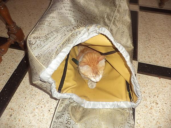 Sortie des orphelins à Crazy Parc DSC01520.JPG