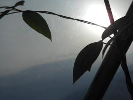 Billet de l’Anse-aux-Outardes, par Claude-Andrée L’Espérance… Billet de l’Anse-aux-Outardes, par Claude-Andrée L’Espérance…