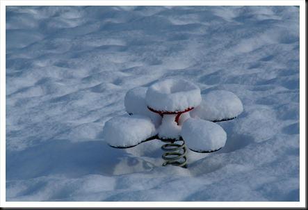 bottières janv09 103 bottières janv09 103