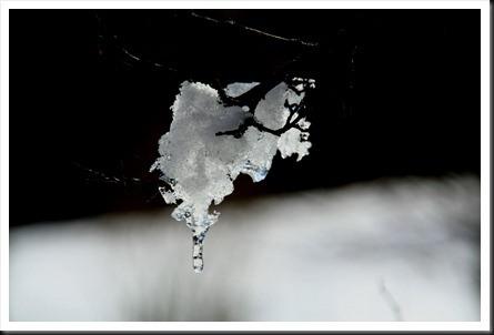 bottières janv09 110 bottières janv09 110