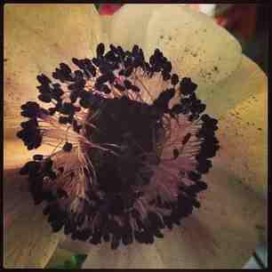 Voila, c’est fini 5efd9e5697f111e2be0322000a9f38f1_6