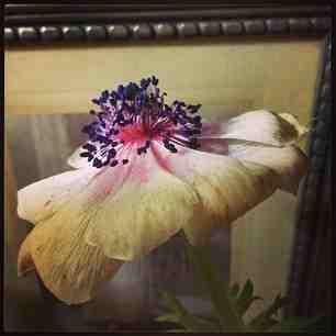 Voila, c’est fini 2d17235897f111e29b3722000a1fa50e_6