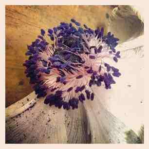 Voila, c’est fini 95f6fd0897f111e281d822000a1f9682_6