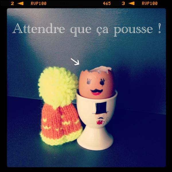 DIY : des oeufs de Pâques chevelus ! photo(176).jpg