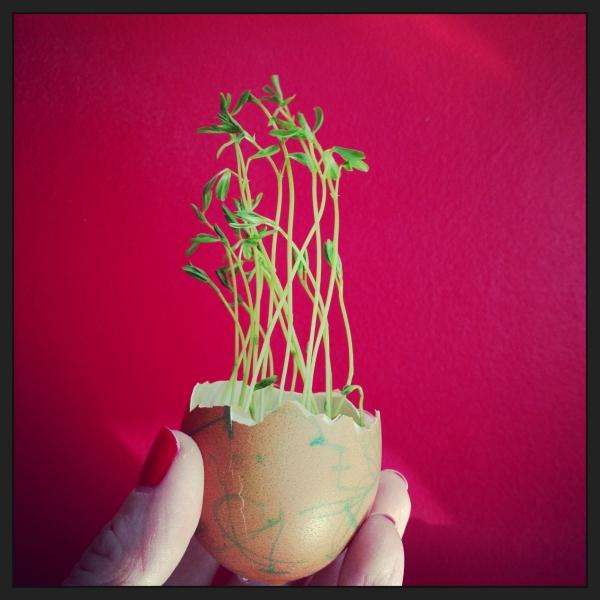 DIY : des oeufs de Pâques chevelus ! photo(186).jpg